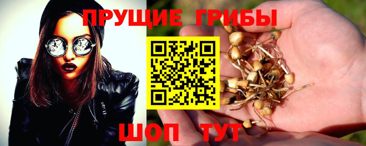 Галлюциногенные грибы мицелий  Вход с VPN  Галлюциногенные грибы мицелий  Кимры 